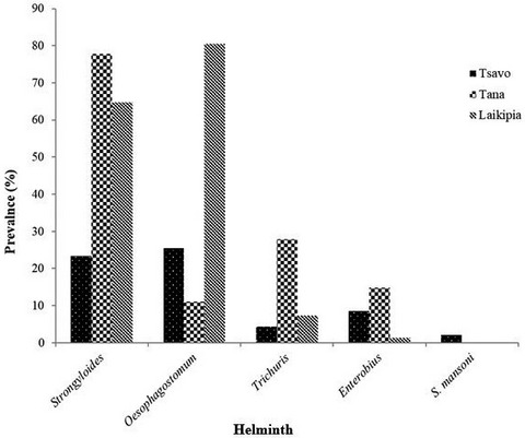 Schistosoma mansoni and soil transmtted helminths in olive baboons and potential zoonosis