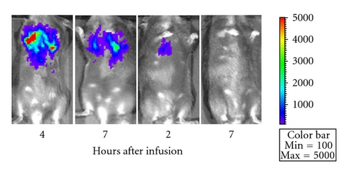 Details are in the caption following the image