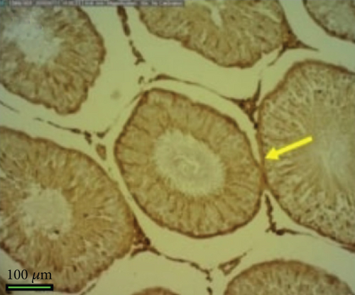 Details are in the caption following the image