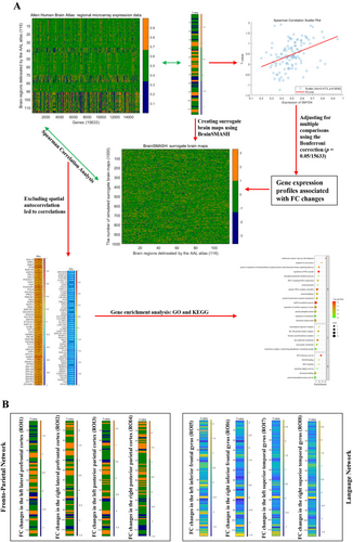 Details are in the caption following the image Details are in the caption following the image