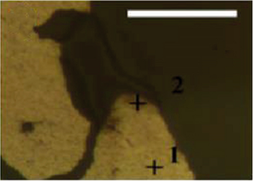 Details are in the caption following the image