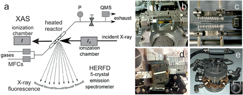 Details are in the caption following the image Details are in the caption following the image
