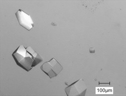 Purification of Lysozyme from Protein Mixtures by Solvent-Freeze-Out Technology