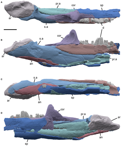 Details are in the caption following the image