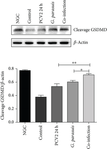 Details are in the caption following the image Details are in the caption following the image