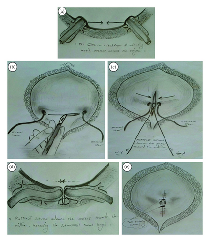 Details are in the caption following the image Details are in the caption following the image