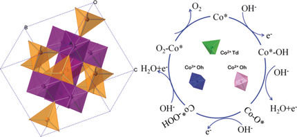 Optimal Geometrical Configuration of Cobalt Cations in Spinel Oxides to Promote Oxygen Evolution Reaction