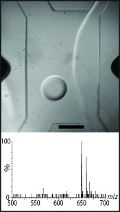 Coupling Microdroplet Microreactors with Mass Spectrometry: Reading the Contents of Single Droplets Online