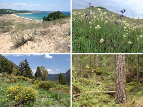 EUNIS Habitat Classification: Expert system, characteristic species combinations and distribution maps of European habitats
