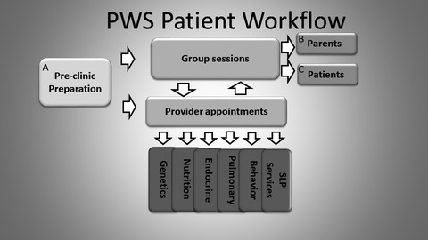 A multidisciplinary approach to the clinical management of Prader–Willi syndrome
