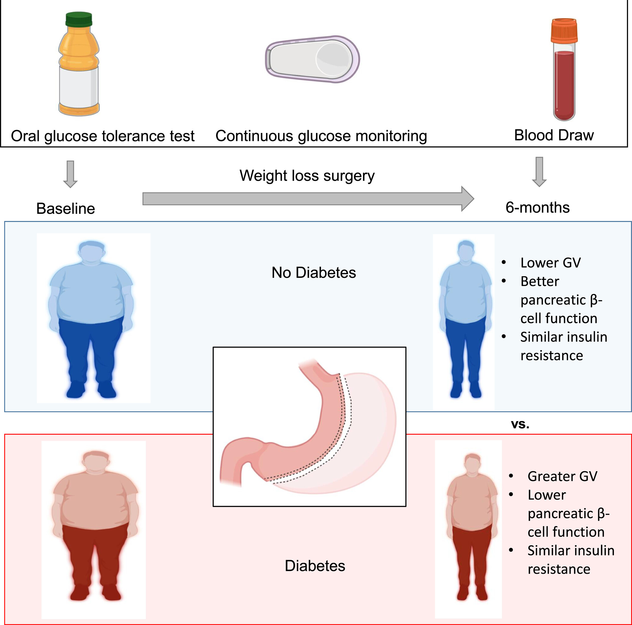 Continuous glucose monitoring captures glycemic variability in obesity after sleeve gastrectomy: A prospective cohort study