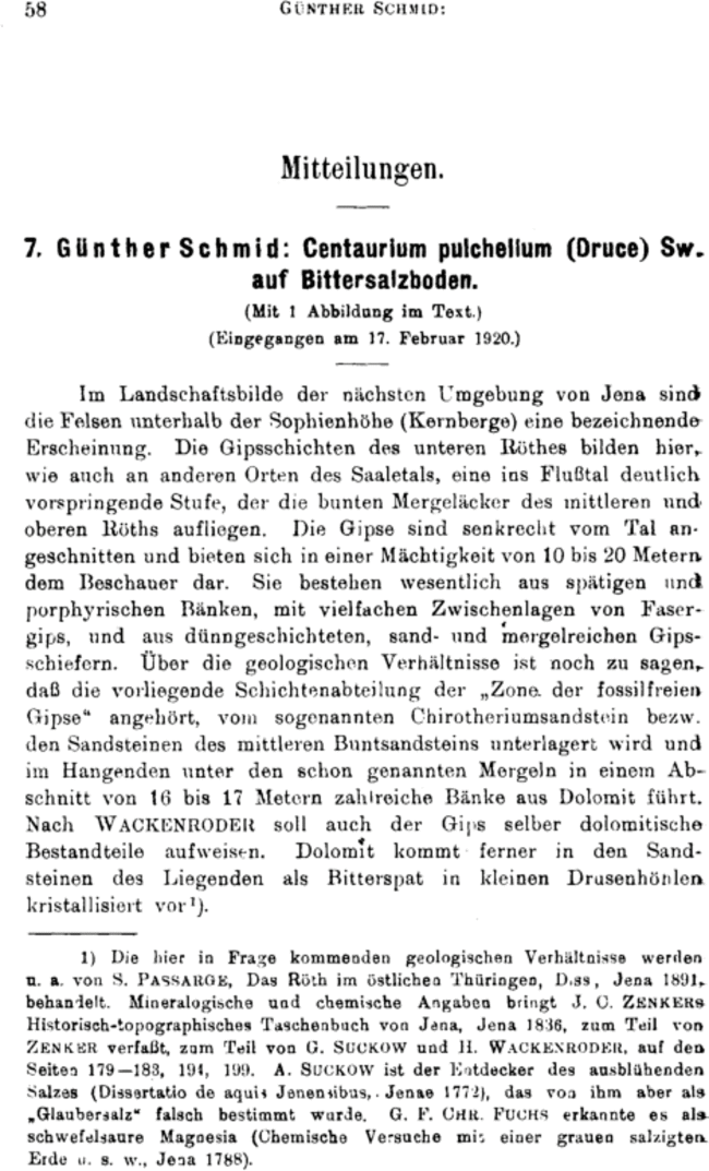 First page image