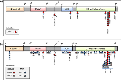 Details are in the caption following the image Details are in the caption following the image