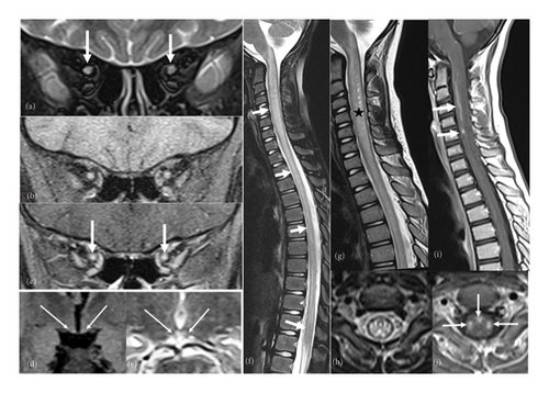 Details are in the caption following the image Details are in the caption following the image