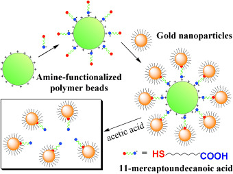 Monofunctional Gold Nanoparticles Prepared via a Noncovalent-Interaction-Based Solid-Phase Modification Approach
