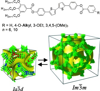 Dynamic Mirror-Symmetry Breaking in Bicontinuous Cubic Phases