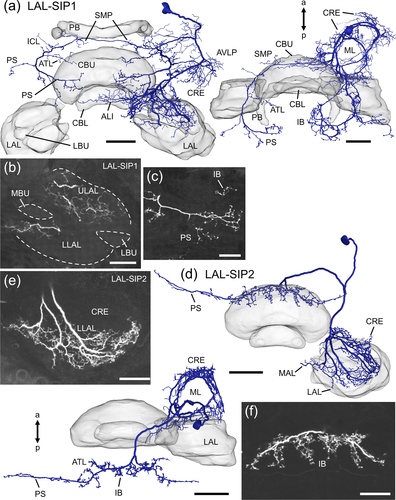 Details are in the caption following the image Details are in the caption following the image