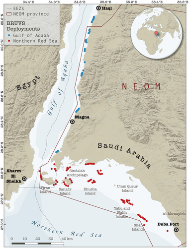 Details are in the caption following the image Details are in the caption following the image