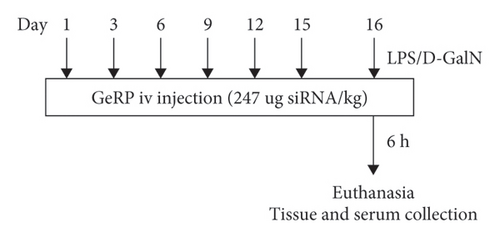 Details are in the caption following the image
