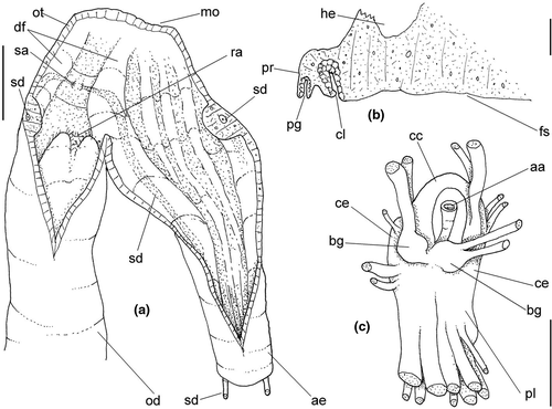 Details are in the caption following the image Details are in the caption following the image