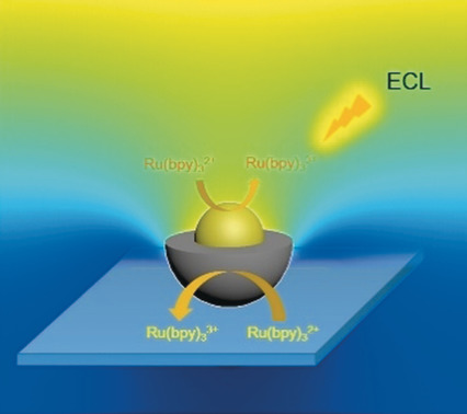 Electrogenerated Chemiluminescence Imaging of Electrocatalysis at a Single Au-Pt Janus Nanoparticle