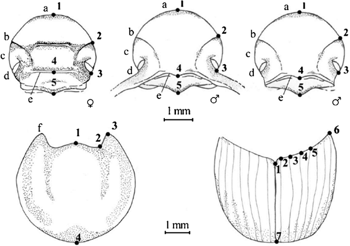 Details are in the caption following the image Details are in the caption following the image