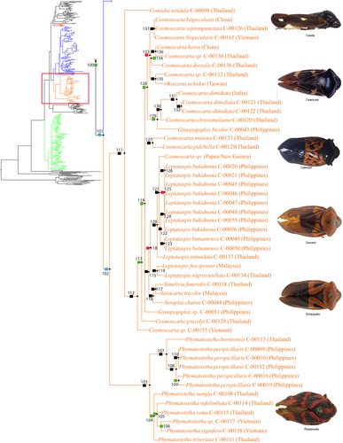 Details are in the caption following the image Details are in the caption following the image