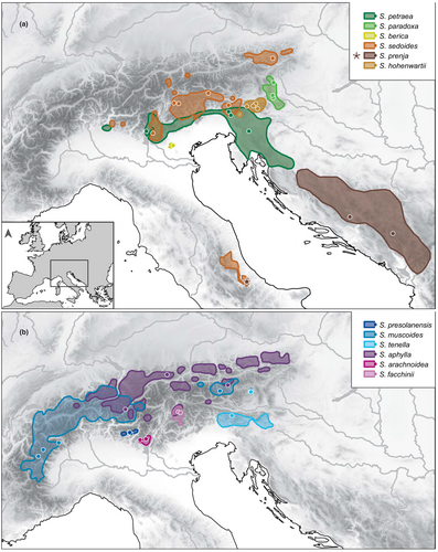 Details are in the caption following the image Details are in the caption following the image