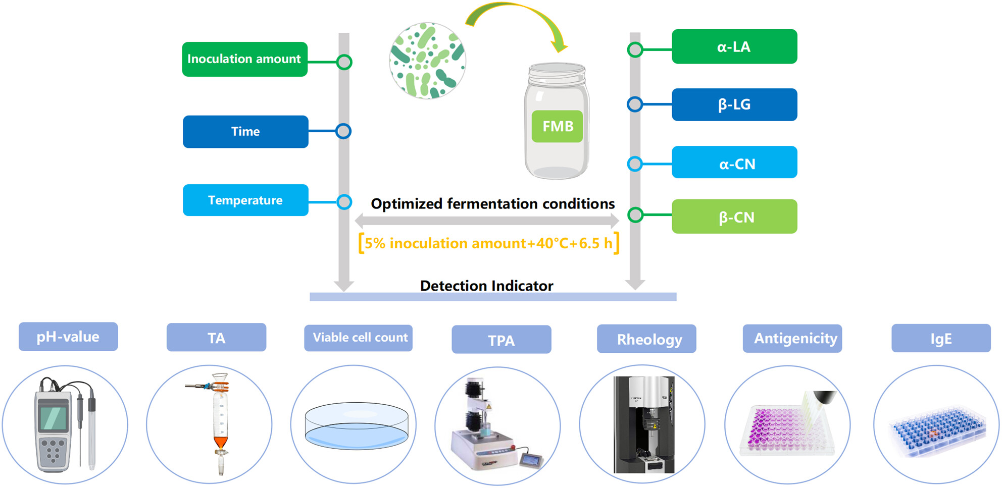 Optimisation of fermentation for developing a novel low-allergenic fermented milk beverage with reduced antigenicity