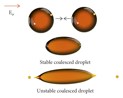Details are in the caption following the image
