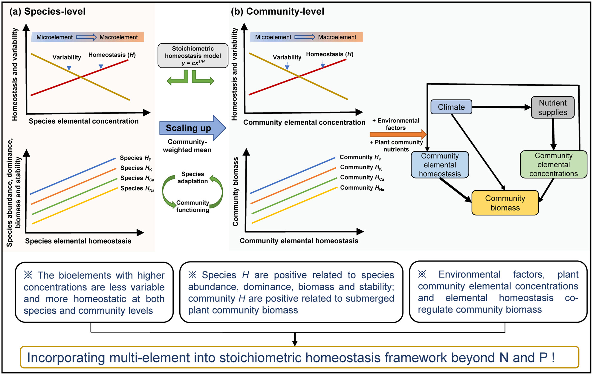 Plant Elemental Homeostasis Enhances Species Performance and Community Functioning in Wetlands: Looking Beyond Nitrogen and Phosphorus Issue 7, 2025