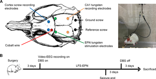 Details are in the caption following the image Details are in the caption following the image