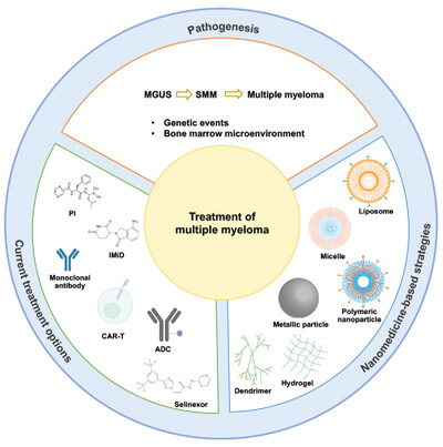 Pathogenesis and treatment of multiple myeloma