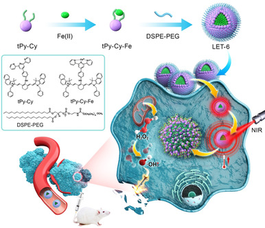 Light-Triggered Transformable Ferrous Ion Delivery System for Photothermal Primed Chemodynamic Therapy