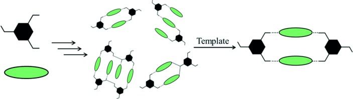 Combinatorial Crystal Synthesis: Structural Landscape of Phloroglucinol:1,2-bis(4-pyridyl)ethylene and Phloroglucinol:Phenazine