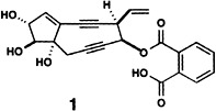 DNA Cleavage by a Nine-Membered Masked Enediyne, an Analogue of the Kedarcidin and C-1027 Chromophores