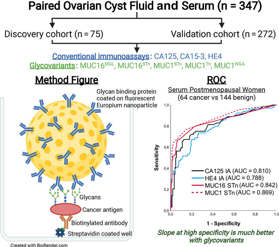 Diagnostic potential of nanoparticle aided assays for MUC16 and MUC1 glycovariants in ovarian cancer
