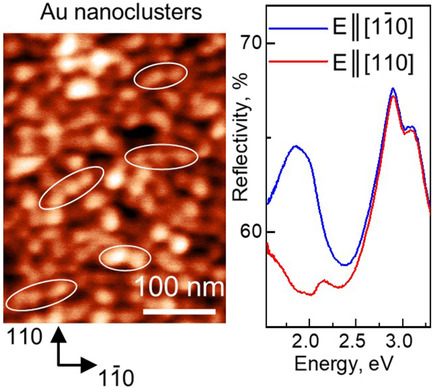 Polarization Spectroscopy of Anisotropic Plasmons in Self-Oriented Nanoclusters of Gold on Monolayer of Nitrogen Atoms Chemisorbed at GaAs(001) Surface