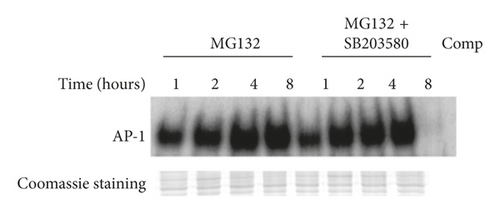 Details are in the caption following the image
