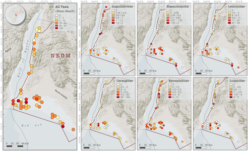 Details are in the caption following the image Details are in the caption following the image