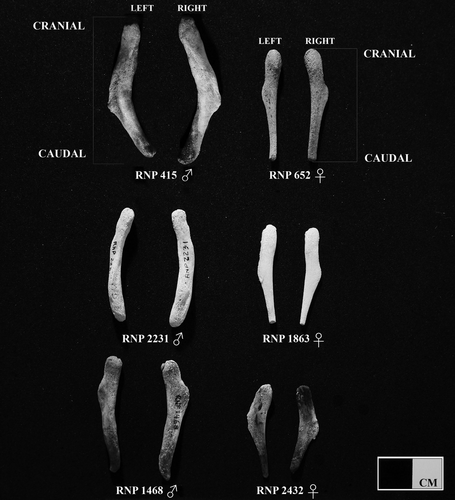 Details are in the caption following the image Details are in the caption following the image