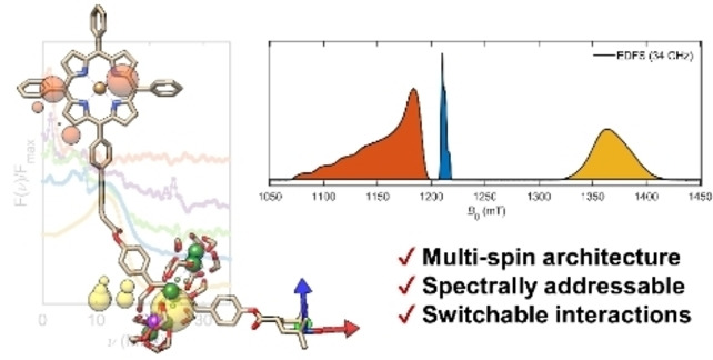 Modelling Conformational Flexibility in a Spectrally Addressable Molecular Multi-Qubit Model System