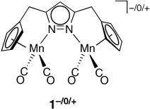 Bifunctional Cp∩N Complexes—Unusual Structural Features and Electronic Coupling in Highly Preorganized Bimetallic Systems