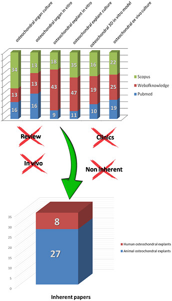 Osteochondral tissue cultures: Between limits and sparks, the next step for advanced in vitro models
