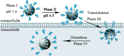 A Controlled-Release Nanocarrier with Extracellular pH Value Driven Tumor Targeting and Translocation for Drug Delivery