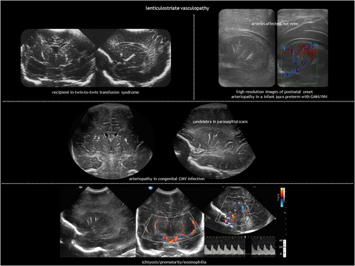 Details are in the caption following the image Details are in the caption following the image