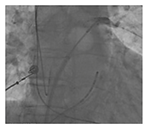 Details are in the caption following the image Details are in the caption following the image