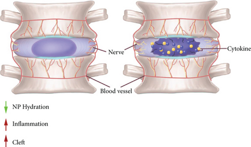 Details are in the caption following the image Details are in the caption following the image