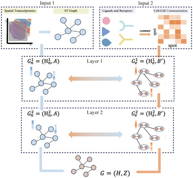 SpaDCN: Deciphering Spatial Functional Landscape from Spatially Resolved Transcriptomics by Aligning Cell–Cell Communications
