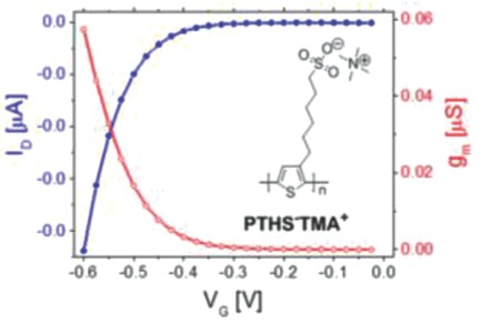 Smaller Counter Cation for Higher Transconductance in Anionic Conjugated Polyelectrolytes